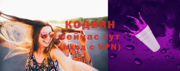 винт Богданович