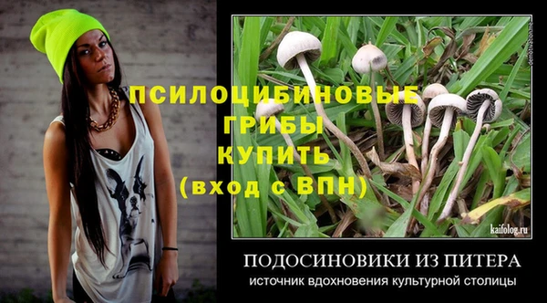 ешки Богородицк