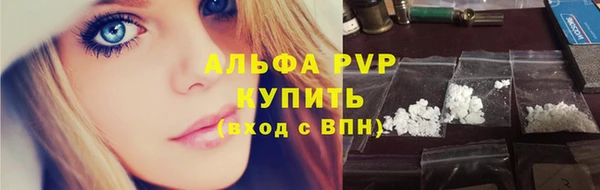 винт Богданович