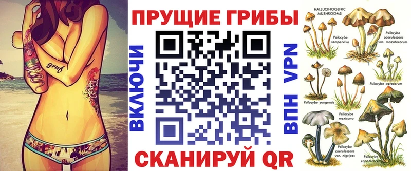 Псилоцибиновые грибы ЛСД  omg вход  Выборг  купить  цена 