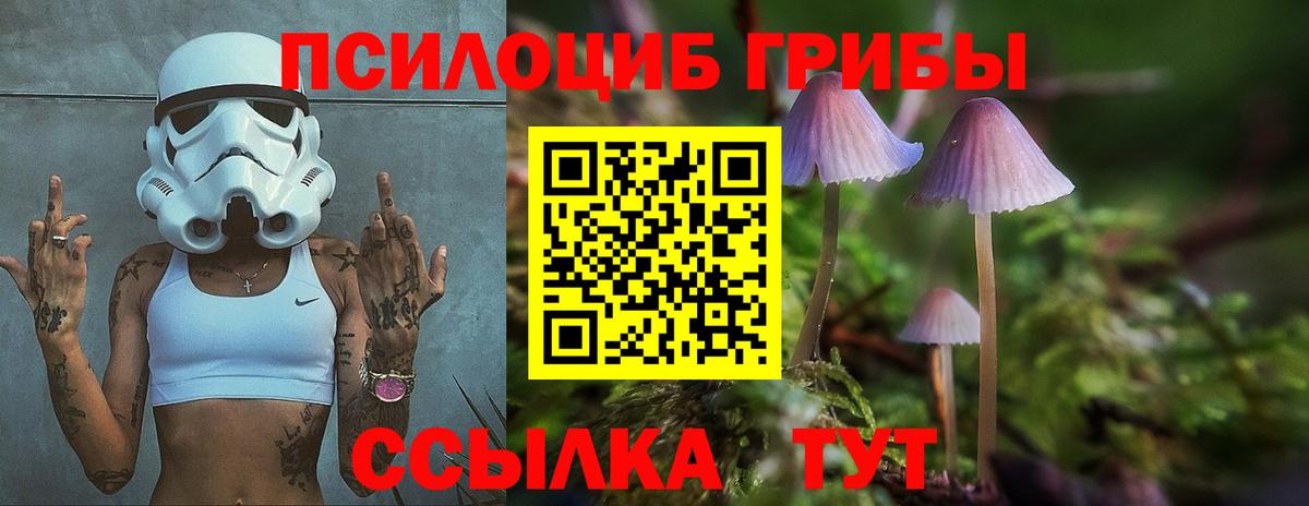 Галлюциногенные грибы MAGIC MUSHROOMS  Вход с VPN  Выборг 