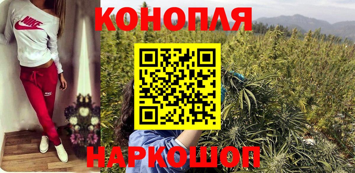 Выборг  Бошки марихуана MAZAR  Бошки марихуана гибрид  Вход с VPN  Марихуана сатива 